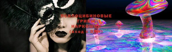 герыч Мегион
