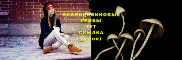 2c-b Медвежьегорск