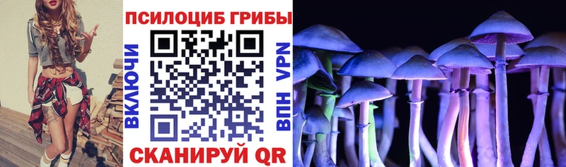 Псилоцибиновые грибы прущие грибы  Купить где  Устюжна 